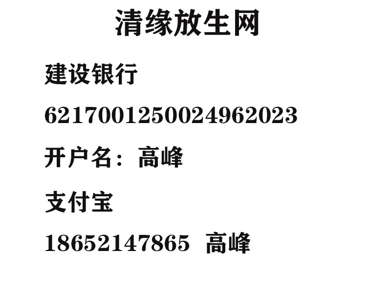 55555.jpg