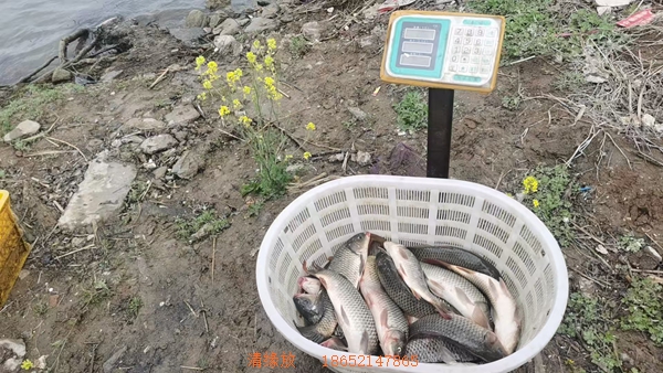 微信图片_20260409173723_39_2.jpg