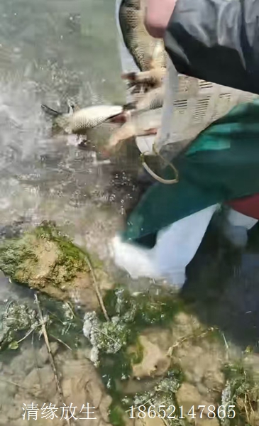 微信图片_20260501163750_40_3.jpg